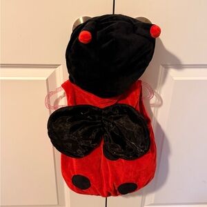 Ladybug Kids Costume - Red and Black 12m